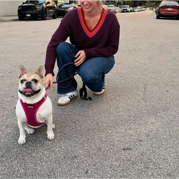 Marine Layer Burgundy Oversized Sweater LARGE V-Neck Preppy Cotton Wool $148 - Picture 4 of 11